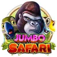 Card 571